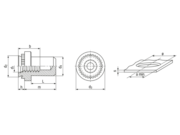 压铆螺母 封闭，用于金属材质 - 图片 2